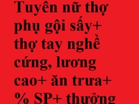 Tuyển nữ thợ phụ gội sấy+ thợ tay nghề cứng, lương cao+ %+ thưởng