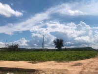 Cần tiền bán miếng đất Thổ Cư view đẹp xã Nam Hà- được Sát Nhập Đà Lạt Cần tiền bán miếng đất Thổ Cư view đẹp xã Nam Hà- được Sát Nhập Đà Lạt