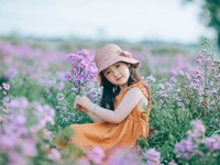 Cần tìm gấp nữ giúp việc nhà ,nhà chung cư Cần tìm gấp nữ giúp việc nhà ,nhà chung cư