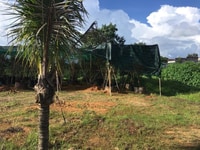 Cầnbán đất vị trí đẹp tại Lâm Đồng Cầnbán đất vị trí đẹp tại Lâm Đồng