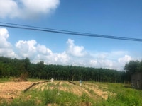 Nằm ngay mặt tiền đường nhựa, 20x50m2, sổ hồng riêng, Minh Thành Nằm ngay mặt tiền đường nhựa, 20x50m2, sổ hồng riêng, Minh Thành