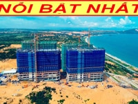 Còn 20 Suất Giảm Giá 25 Triệu, 540 Triệu/Căn, Trả 50% Nhận Nhà, Trả 1% Còn 20 Suất Giảm Giá 25 Triệu, 540 Triệu/Căn, Trả 50% Nhận Nhà, Trả 1%