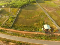 Đất vườn, đất trồng cây lâu năm