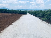 Đất di linh đã có sổ , thổ cư xây dựng Đất di linh đã có sổ , thổ cư xây dựng