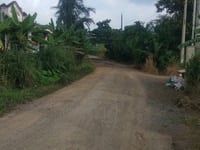 Cần bán 8 sào đất đang trồng cây ăn trái - Lạc Sơn - Quang Trung Cần bán 8 sào đất đang trồng cây ăn trái - Lạc Sơn - Quang Trung