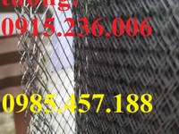 Lưới chát tường 6x12mm, 10x20mm, 20x40mm.. hàng sẵn kho tại Hà Nội Lưới chát tường 6x12mm, 10x20mm, 20x40mm.. hàng sẵn kho tại Hà Nội