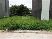 Cần bán gấp mảnh đất đường Bờ Bao Tân Thắng, Sơn Kỳ. gần aeon mall Cần bán gấp mảnh đất đường Bờ Bao Tân Thắng, Sơn Kỳ. gần aeon mall