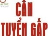 Cần tuyển nhân viên hành chánh nhân sự Cần tuyển nhân viên hành chánh nhân sự