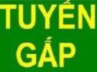 Tuyển dụng nhân viên bán hàng tại hệ thống siêu thị Tuyển dụng nhân viên bán hàng tại hệ thống siêu thị