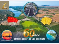 Đất nền trang trại Bình Thuận giá tốt đầu tư Đất nền trang trại Bình Thuận giá tốt đầu tư