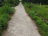 Bán đất vườn, khu dân cư dt=505m, đường nhựa, xã phước thạnh, Bán đất vườn, khu dân cư dt=505m, đường nhựa, xã phước thạnh,