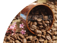 Cà phê hạt nguyên chất giá sỉ tại Thuận An Bình Dương Cà phê hạt nguyên chất giá sỉ tại Thuận An Bình Dương