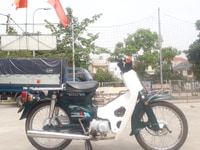 Cub 81 dung tích 50cc Honda Nhật màu xanh biển 29 Cub 81 dung tích 50cc Honda Nhật màu xanh biển 29