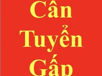 Cần gấp 1 bác giúp việc chăm bé 4 tháng tuổi Cần gấp 1 bác giúp việc chăm bé 4 tháng tuổi