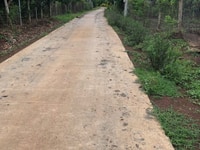 Bán gấp vườn cây ăn trái xã Bình Lộc mặt tiền đường bê tông Bán gấp vườn cây ăn trái xã Bình Lộc mặt tiền đường bê tông