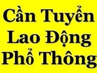 Cần gấp 29 ldpt thời vụ cuối năm Cần gấp 29 ldpt thời vụ cuối năm