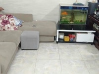 Bán Nhà Đào Tấn 61m2 giá 4,85 tỷ Bán Nhà Đào Tấn 61m2 giá 4,85 tỷ