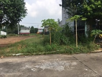 Cần mua đất P Tân Bình, Tp Dĩ An, Bình Dương để ở Cần mua đất P Tân Bình, Tp Dĩ An, Bình Dương để ở