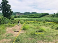 Bán đất cây lâu năm 16.000m2 view đẹp gần ngã ba Nước Nhĩ giá rẻ Bán đất cây lâu năm 16.000m2 view đẹp gần ngã ba Nước Nhĩ giá rẻ