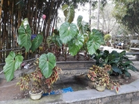 Chỉ cần sạch sẽ, cẩn thận, nhiệt tình Có phòng ngủ riêng, Chỉ cần sạch sẽ, cẩn thận, nhiệt tình Có phòng ngủ riêng,