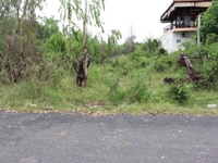 Đón sóng đầu tư đất nền ven biển Bình Châu giá rẻ Đón sóng đầu tư đất nền ven biển Bình Châu giá rẻ