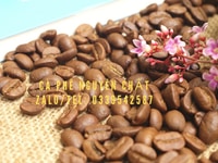 Cà phê hạt rang xay nguyên chất tại Thủ Dầu Một Bình Dương Cà phê hạt rang xay nguyên chất tại Thủ Dầu Một Bình Dương