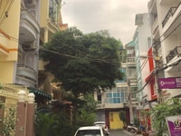 Cho thuê nhà Quận 10- Nhà HXH đường Sư Vạn Hạnh Cho thuê nhà Quận 10- Nhà HXH đường Sư Vạn Hạnh