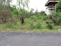 Thanh lý gấp lô đất diện tích 1200m cách đường ven biển 100m Thanh lý gấp lô đất diện tích 1200m cách đường ven biển 100m