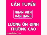 Cần Gấp 04 Bạn Nam Nữ Bán Hàng Làm Việc Tại Siêu Thị Mini Dịp Tết Cần Gấp 04 Bạn Nam Nữ Bán Hàng Làm Việc Tại Siêu Thị Mini Dịp Tết