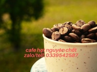 Cung cấp cà phê rang xay giá sỉ tại Dĩ An Bình Dương Cung cấp cà phê rang xay giá sỉ tại Dĩ An Bình Dương
