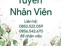 Bạn đang thất nghiệp và muốn tìm công việc??? Bạn đang thất nghiệp và muốn tìm công việc???