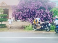 Bán Đất Số 4A Nguyễn Tuyển, Bình Trưng Tây, Quận 2 Bán Đất Số 4A Nguyễn Tuyển, Bình Trưng Tây, Quận 2