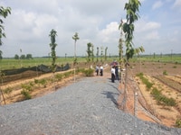 Bán nền đất vườn đường Nguyễn Thị Rành, Nhuận Đức, Củ Chi Bán nền đất vườn đường Nguyễn Thị Rành, Nhuận Đức, Củ Chi