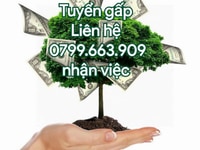 Cửa hàng bách hóa tổng hợp cần tuyển gấp nhân viên bán hàng. Cửa hàng bách hóa tổng hợp cần tuyển gấp nhân viên bán hàng.