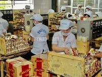 Siêu thị cần tuyển gấp nhân viên thu ngân bán hàng Siêu thị cần tuyển gấp nhân viên thu ngân bán hàng