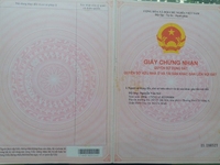 Còn 1 căn nhà 3 lầu đẹp đường Bùi Đình Túy P12, SHR, HXH