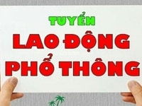 Tuyển lao động phổ thông làm bao ăn ở Tuyển lao động phổ thông làm bao ăn ở