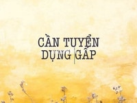 Siêu thị mini đang cần tuyển nhân viên bán hàng, làm giờ hành chính Siêu thị mini đang cần tuyển nhân viên bán hàng, làm giờ hành chính