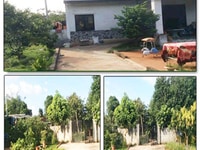 Bán Đất 3 Mặt Tiền Tại Xã Thanh Lương – Thị Xã Bình Long Bình Phước Bán Đất 3 Mặt Tiền Tại Xã Thanh Lương – Thị Xã Bình Long Bình Phước