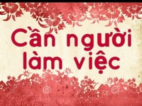 Cần 2 nữ bán hàng phục vụ sếp hàng trưng bày tại đà nẵng Cần 2 nữ bán hàng phục vụ sếp hàng trưng bày tại đà nẵng