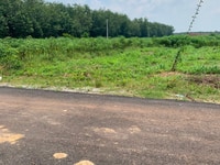 Bể nợ tôi bán gấp lô đất 600m2 trong khu tái định cư BeCaMex giá 460tr Bể nợ tôi bán gấp lô đất 600m2 trong khu tái định cư BeCaMex giá 460tr