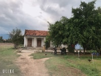 Bán Đất Giá Rẻ Tại Xã Ninh Sơn – Thị Xã Ninh Hòa – Tỉnh Khánh Hòa Bán Đất Giá Rẻ Tại Xã Ninh Sơn – Thị Xã Ninh Hòa – Tỉnh Khánh Hòa