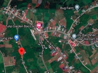 Bán đất đường Trần Nhật Duật, Dambri, Tp. Bảo Lộc - Gần Tulip Garden Bán đất đường Trần Nhật Duật, Dambri, Tp. Bảo Lộc - Gần Tulip Garden