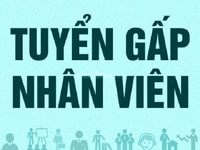 Công ty cần tuyển nhân viên thu ngân cho siêu thị tại Bình Tân Công ty cần tuyển nhân viên thu ngân cho siêu thị tại Bình Tân