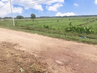 Đất vườn 1183m2, nở hậu, sổ riêng, Nguyễn Thị Rành, Củ Chi Đất vườn 1183m2, nở hậu, sổ riêng, Nguyễn Thị Rành, Củ Chi