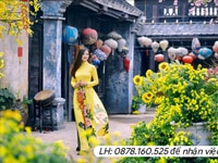 Quận 11 - Dịp cận TẾT cần tuyển gấp Quận 11 - Dịp cận TẾT cần tuyển gấp