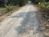 Ngộp nợ bán đất 1.000m2 kênh 10, Bình Chánh Ngộp nợ bán đất 1.000m2 kênh 10, Bình Chánh