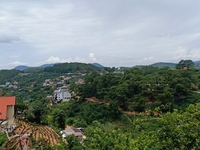 Bán đất thành phố đà lạt 1000m2 thổ cư MT đường lớn Bán đất thành phố đà lạt 1000m2 thổ cư MT đường lớn