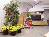 Cần người chăm sóc bé nhà có thể ở lại lâu dài trẻ tuổi Cần người chăm sóc bé nhà có thể ở lại lâu dài trẻ tuổi