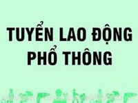 Tuyển 2 nam lao động phổ thông cho cửa hàng thiết bị điện tử âm thanh